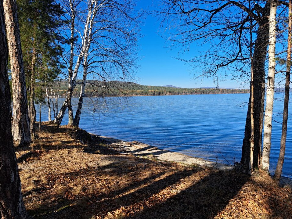 Инна Хваткова: «Гастротуризм станет новым направлением развития в Челябинской области»
1 Инна Хваткова: «Гастротуризм станет новым направлением развития в Челябинской области»
1