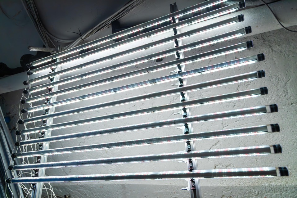 «Выращивать то, что можно конвертировать в деньги» 1 «Выращивать то, что можно конвертировать в деньги» 1