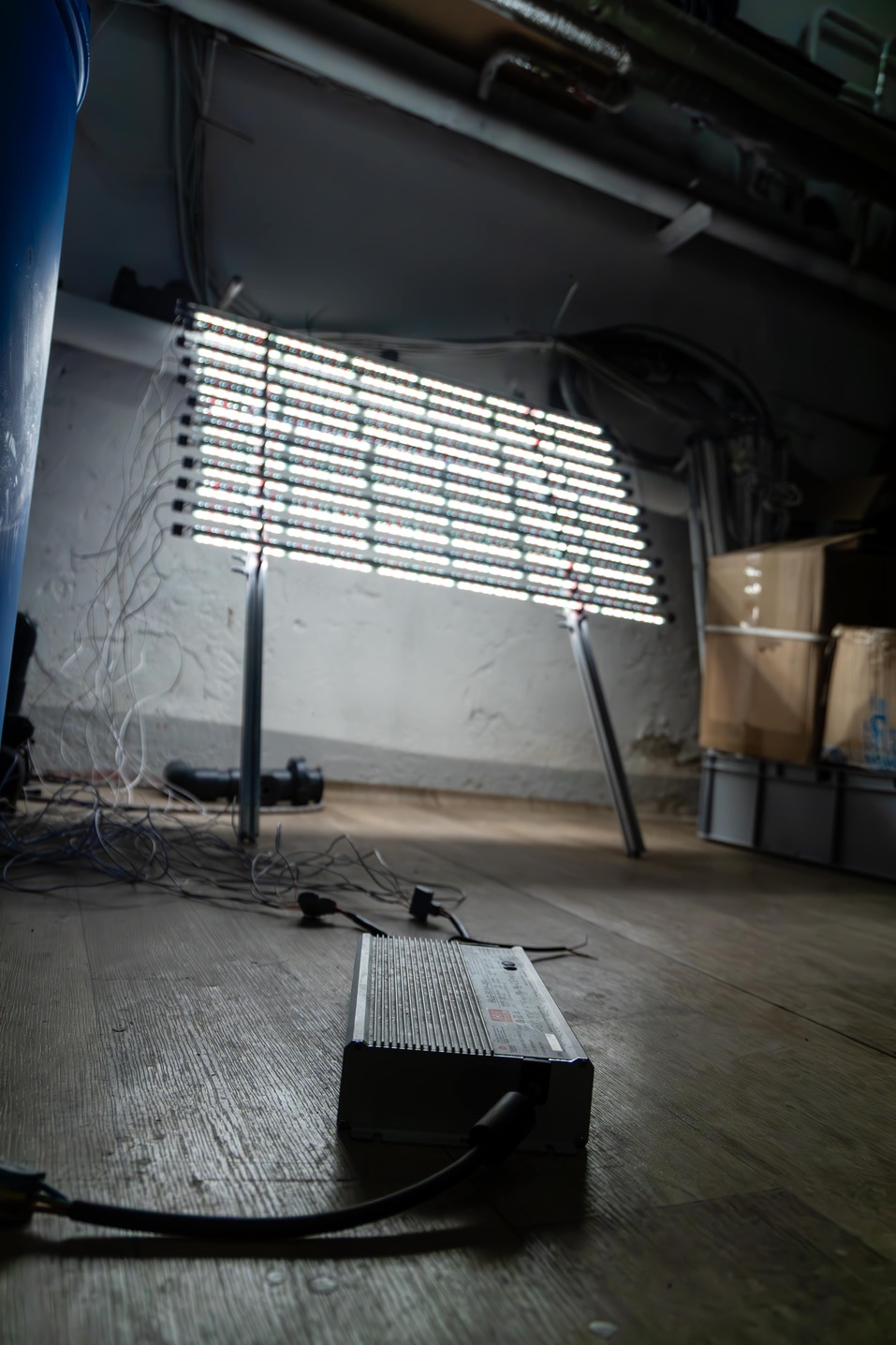 «Выращивать то, что можно конвертировать в деньги» 2 «Выращивать то, что можно конвертировать в деньги» 2