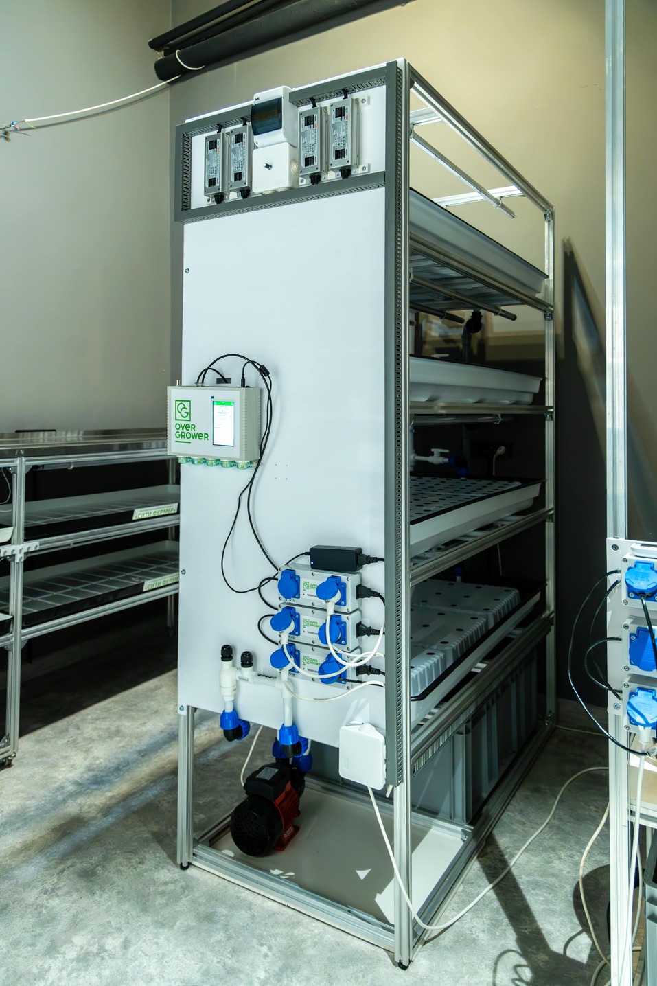 «Выращивать то, что можно конвертировать в деньги» 4 «Выращивать то, что можно конвертировать в деньги» 4