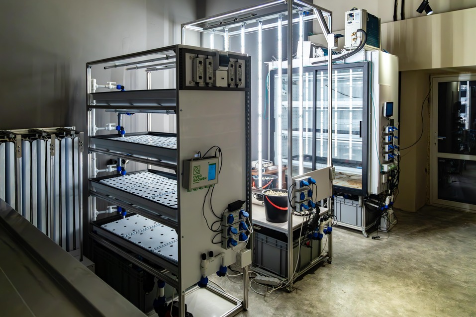 «Выращивать то, что можно конвертировать в деньги» 6 «Выращивать то, что можно конвертировать в деньги» 6