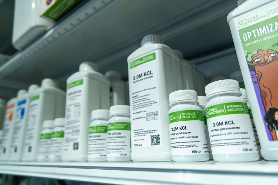 «Выращивать то, что можно конвертировать в деньги» 7 «Выращивать то, что можно конвертировать в деньги» 7