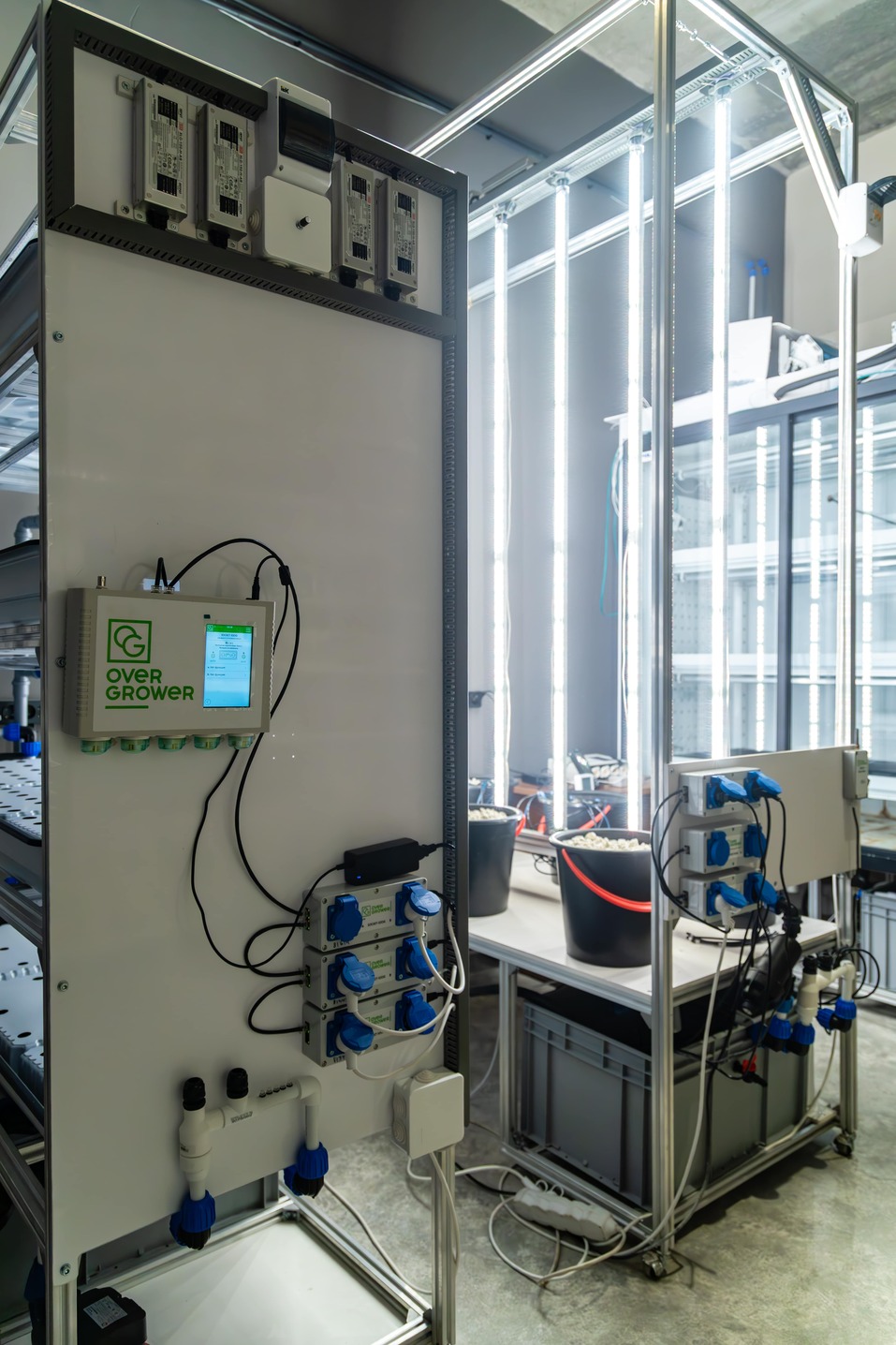 «Выращивать то, что можно конвертировать в деньги» 8 «Выращивать то, что можно конвертировать в деньги» 8