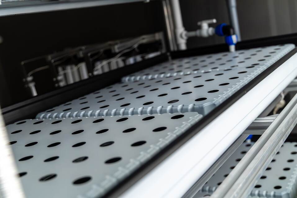 «Выращивать то, что можно конвертировать в деньги» 10 «Выращивать то, что можно конвертировать в деньги» 10