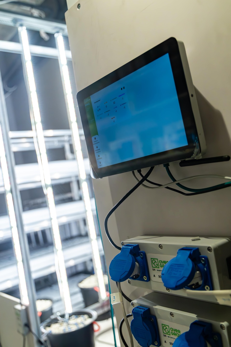 «Выращивать то, что можно конвертировать в деньги» 11 «Выращивать то, что можно конвертировать в деньги» 11