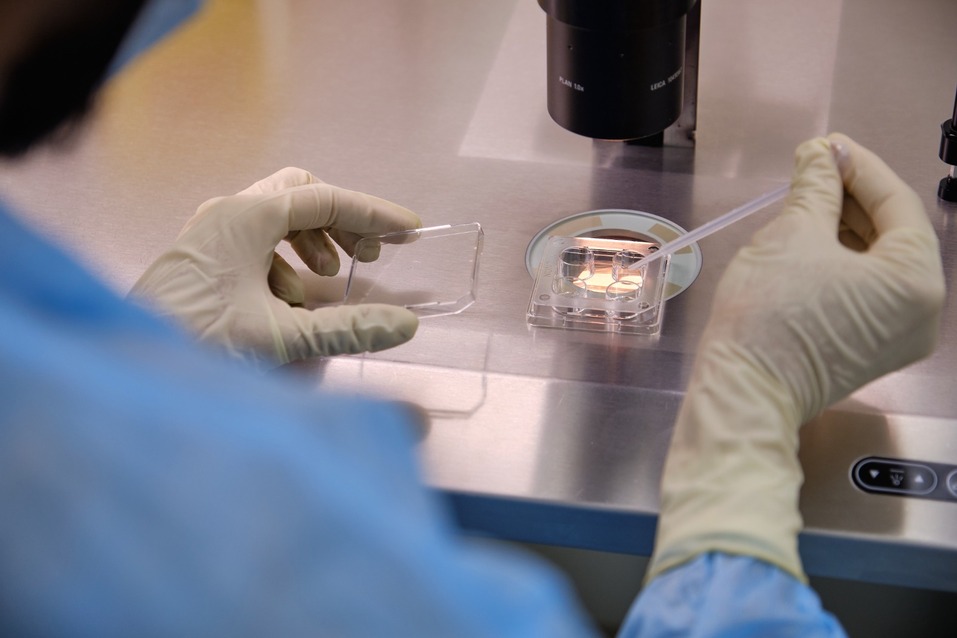 Евгения Рябко: «В ЦСМ шутят, что после апокалипсиса возрождение цивилизации начнем мы» 4 Евгения Рябко: «В ЦСМ шутят, что после апокалипсиса возрождение цивилизации начнем мы» 4