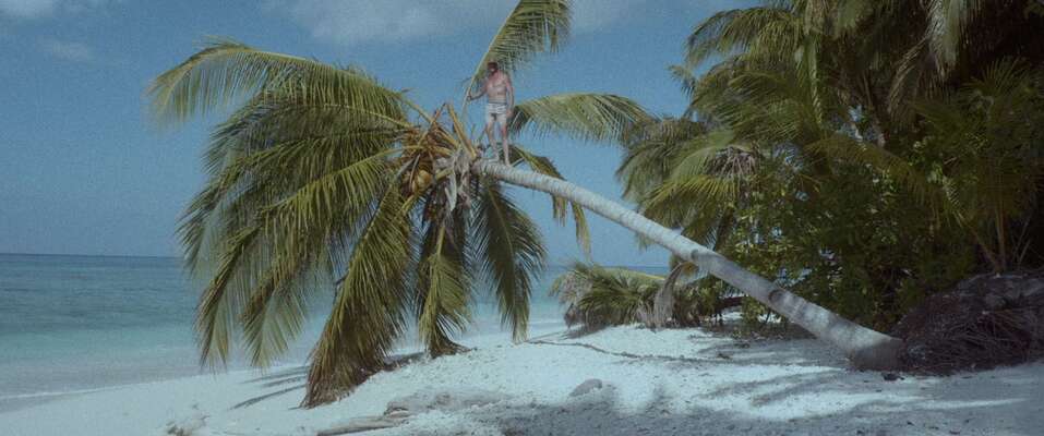 Иллюстрация: afisha.ru Иллюстрация: afisha.ru