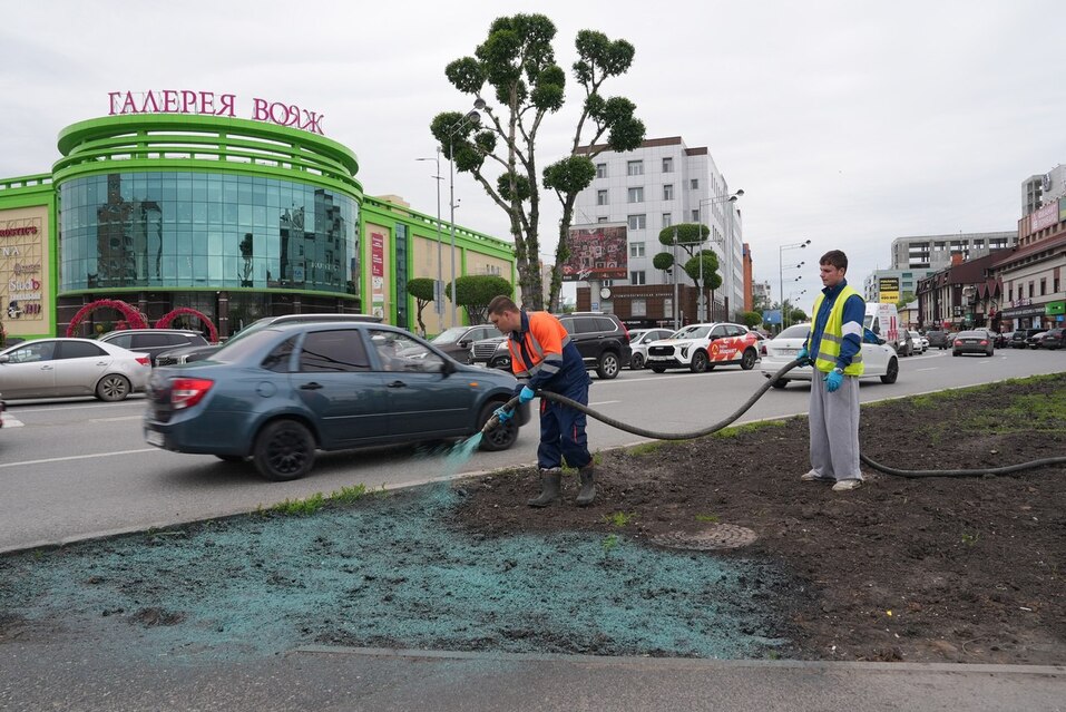 Тюменцы раскритиковали новый способ засева газонов (они решили, что их красят) 1 Тюменцы раскритиковали новый способ засева газонов (они решили, что их красят) 1