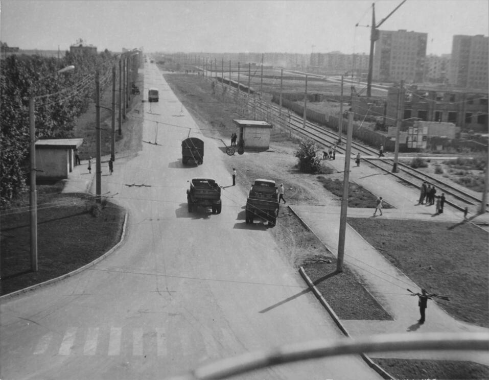 Голуби и «Пепси-кола» — звезды Затулинки. Новая история места 4 Голуби и «Пепси-кола» — звезды Затулинки. Новая история места 4