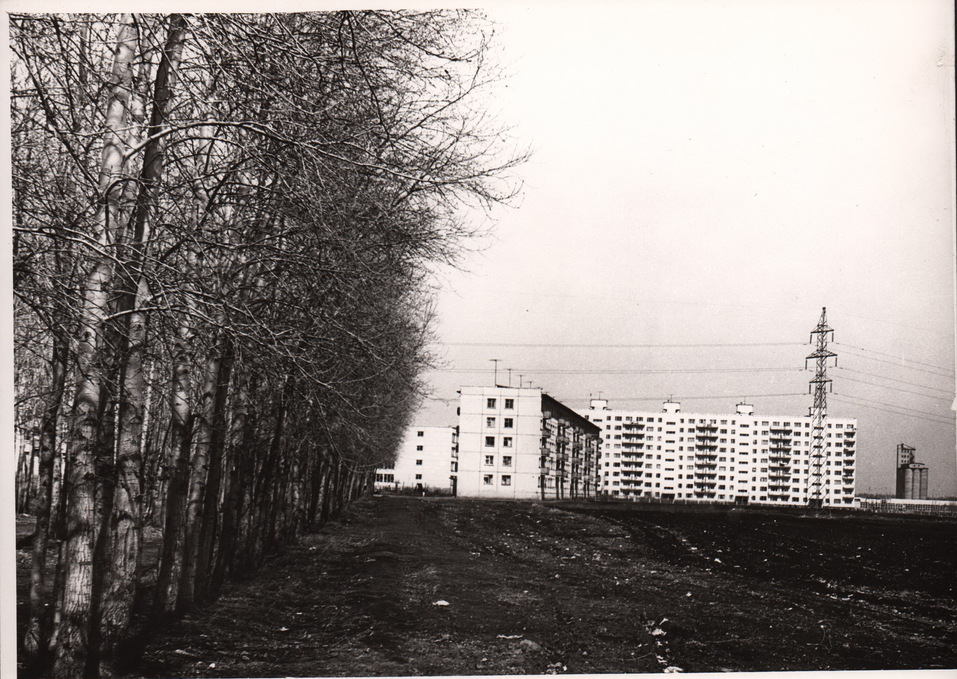 Голуби и «Пепси-кола» — звезды Затулинки. Новая история места 2 Голуби и «Пепси-кола» — звезды Затулинки. Новая история места 2