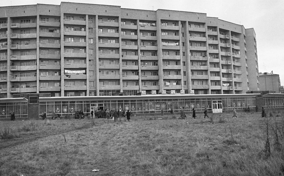 Голуби и «Пепси-кола» — звезды Затулинки. Новая история места 3 Голуби и «Пепси-кола» — звезды Затулинки. Новая история места 3