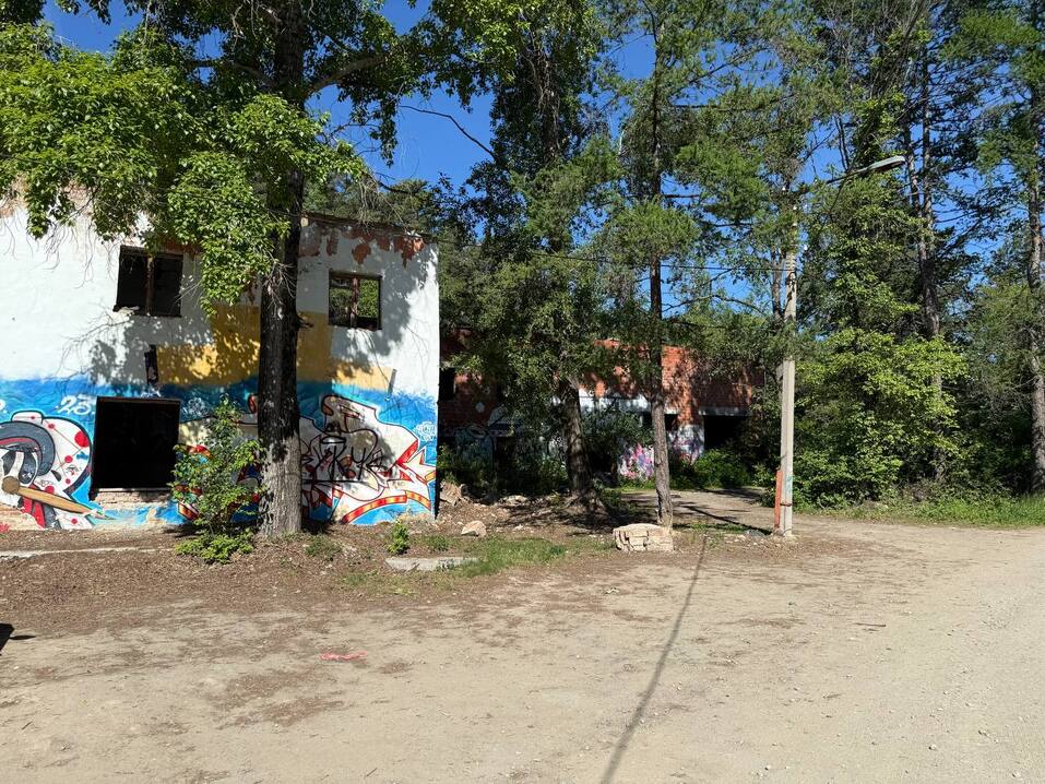 Развалины среди сосен: в Челябинске снесут опасные здания в городском бору
2 Развалины среди сосен: в Челябинске снесут опасные здания в городском бору
2