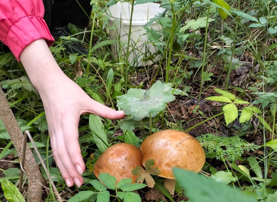 25% уральцев готовы потратить на отдых более 100 тыс. рублей, а 33% — отдыхать на даче 2 25% уральцев готовы потратить на отдых более 100 тыс. рублей, а 33% — отдыхать на даче 2