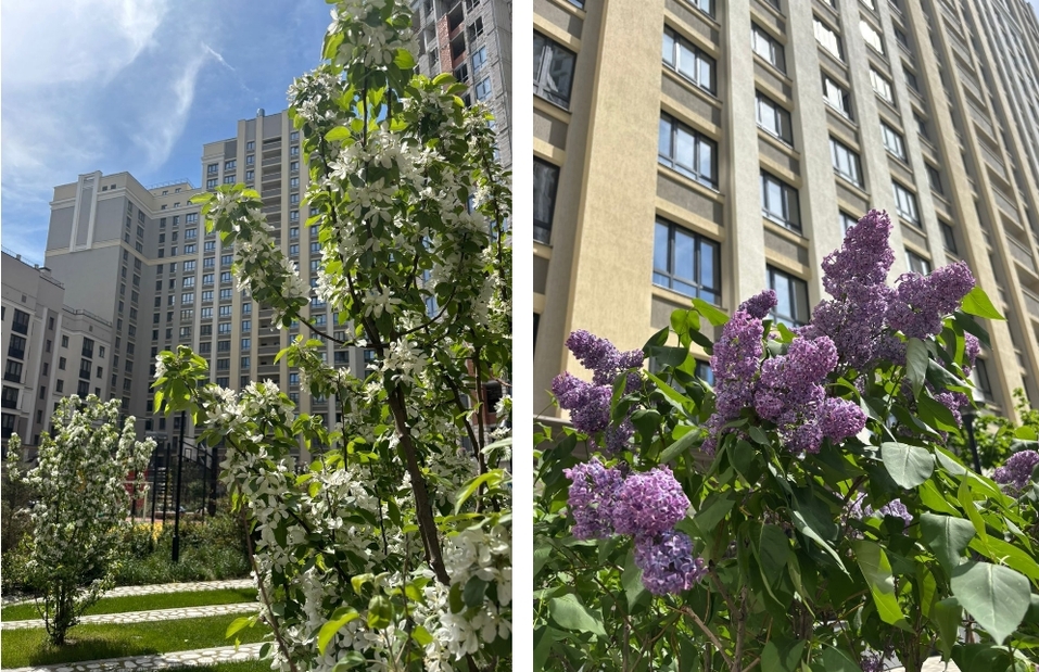 Своя квартира удовлетворяет три базовых инстинкта человека — Юрий Моисеенко 2 Своя квартира удовлетворяет три базовых инстинкта человека — Юрий Моисеенко 2