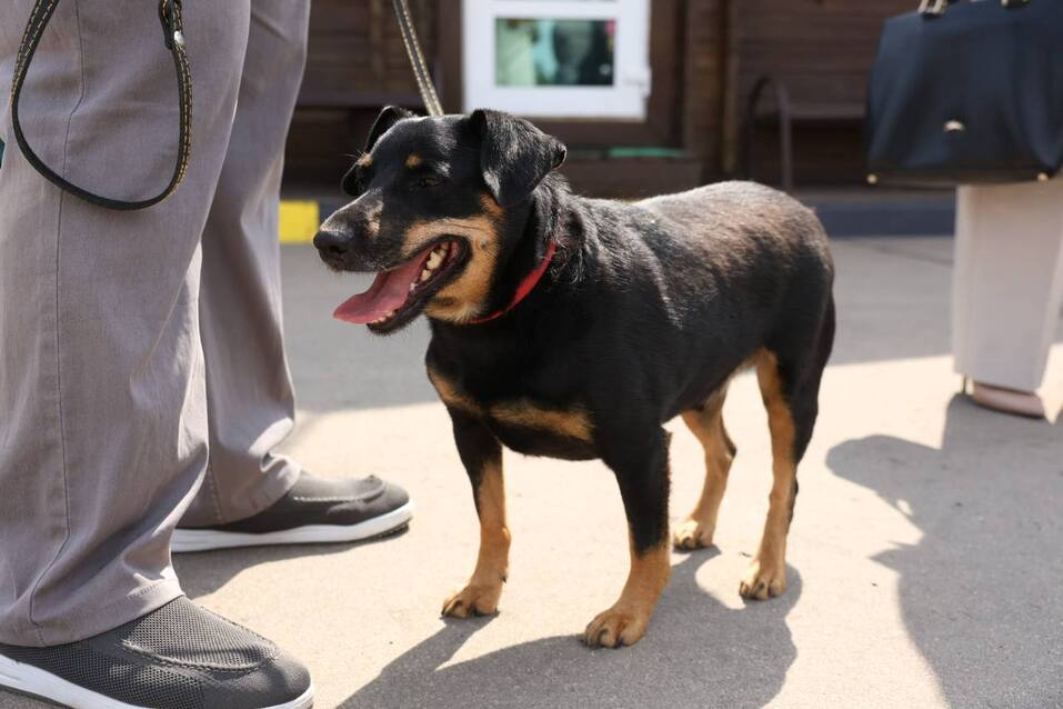 Фото: Никита Духник Фото: Никита Духник