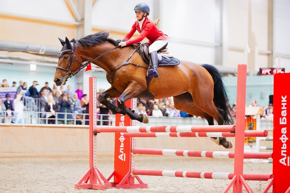 Атмосфера спортивного азарта: в Челябинске пройдут всероссийские соревнования по конкуру
1 Атмосфера спортивного азарта: в Челябинске пройдут всероссийские соревнования по конкуру
1