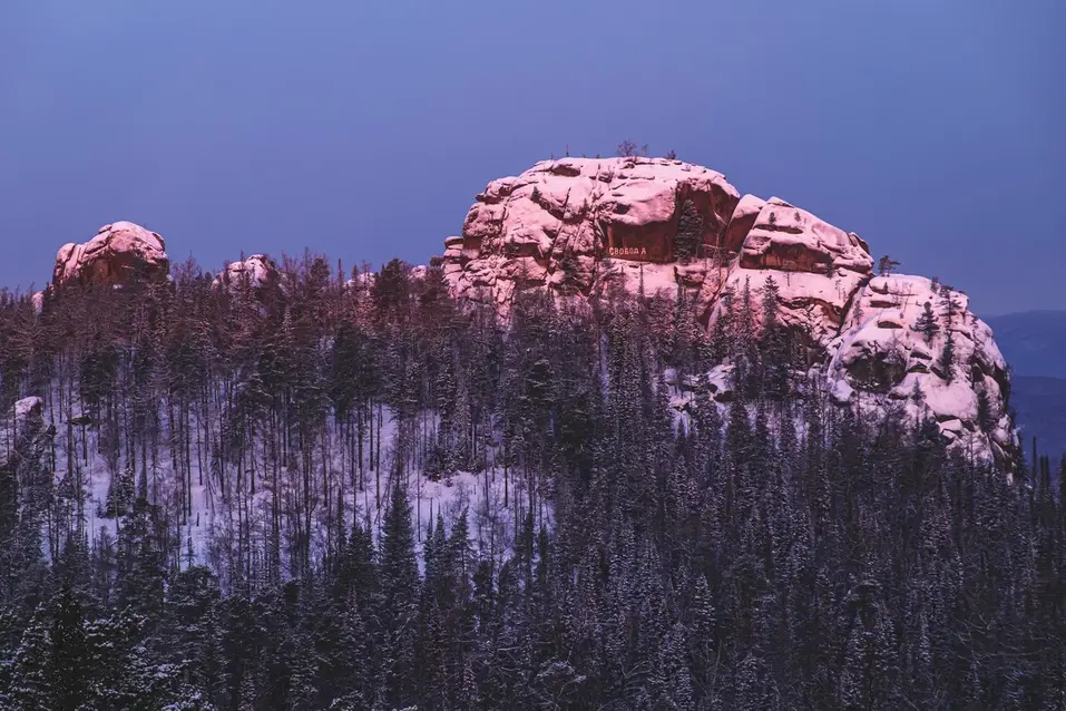 Иллюстрация: SCAN FAIR / Элина Гусарова Иллюстрация: SCAN FAIR / Элина Гусарова