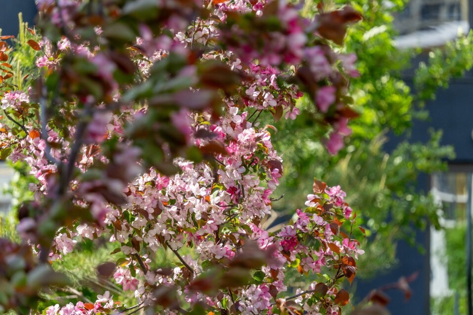 Кто первый: начались продажи квартир в ЖК у Исети 4 Кто первый: начались продажи квартир в ЖК у Исети 4