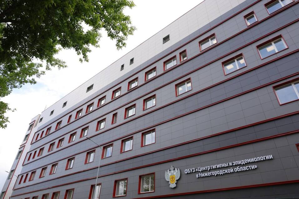 Фото: Никита Духник Фото: Никита Духник