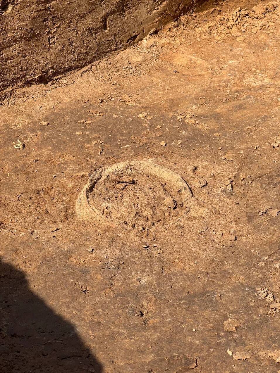 Фото: t.me/nesukhanova52 Фото: t.me/nesukhanova52