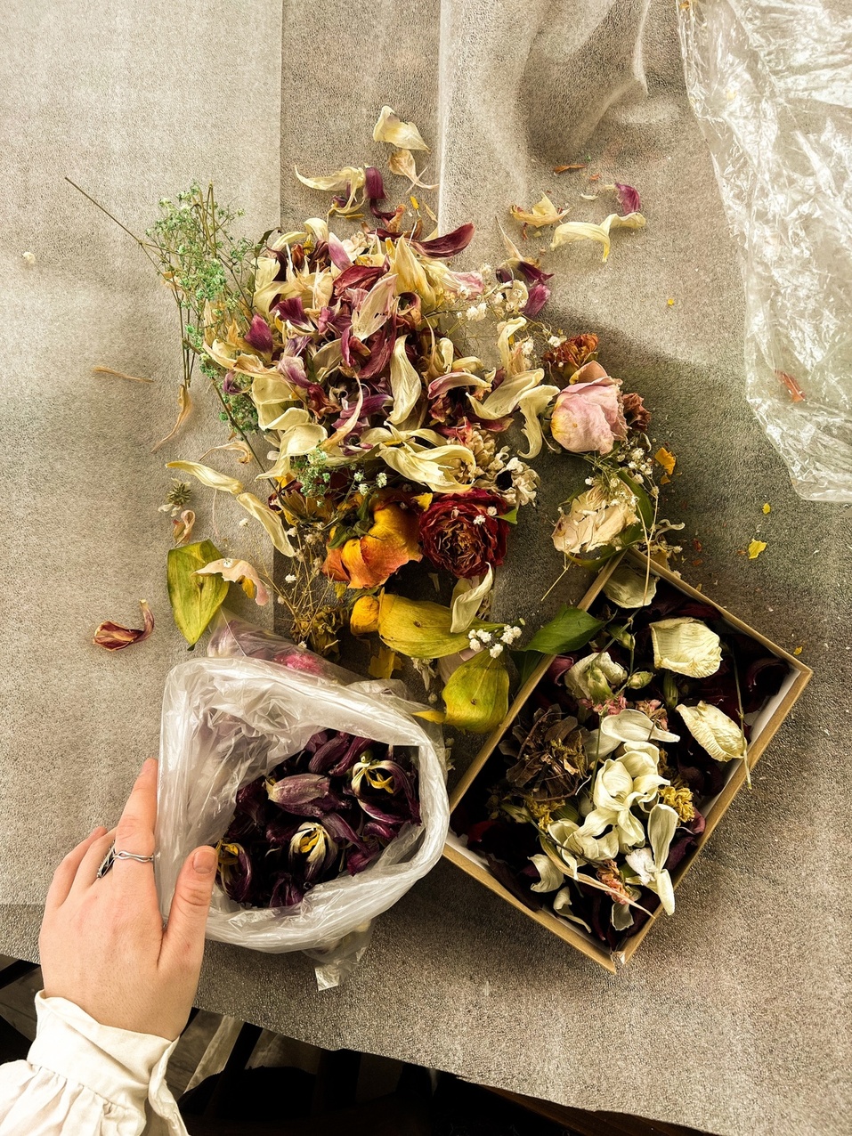 Иллюстрация: vk.com/berloga_elfa Иллюстрация: vk.com/berloga_elfa