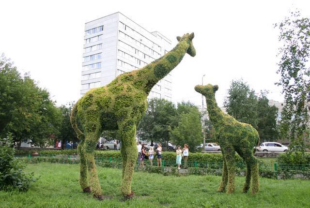 Иллюстрация: Управление зеленого строительства Иллюстрация: Управление зеленого строительства