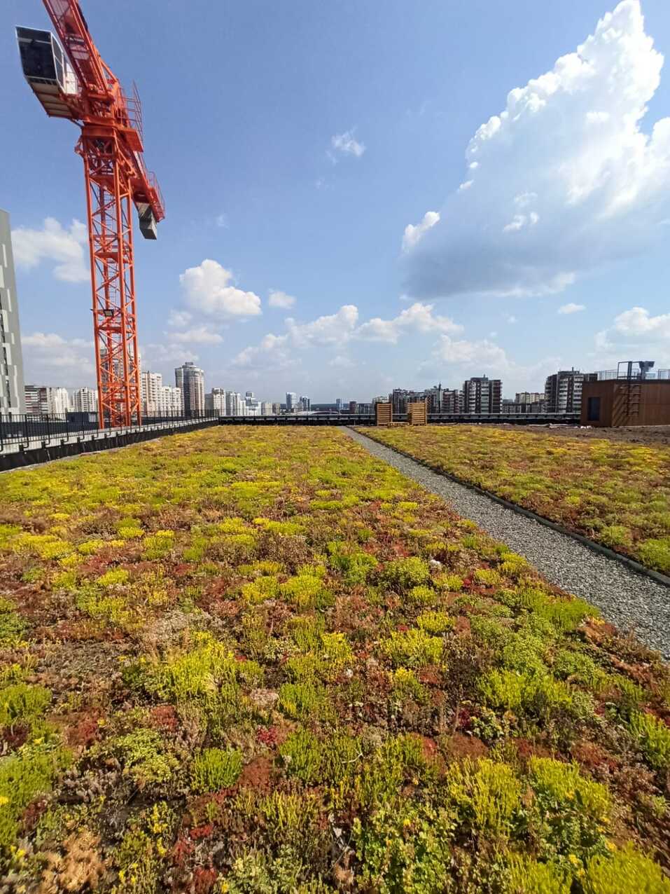 «Синара-Девелопмент» создала самую большую экокровлю на Урале
1 «Синара-Девелопмент» создала самую большую экокровлю на Урале
1