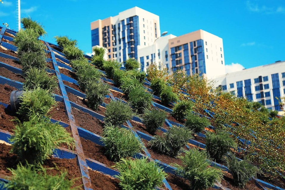 Кофе, кони, почитаем? Чем заняться в Екатеринбурге в последние выходные июля
3 Кофе, кони, почитаем? Чем заняться в Екатеринбурге в последние выходные июля
3