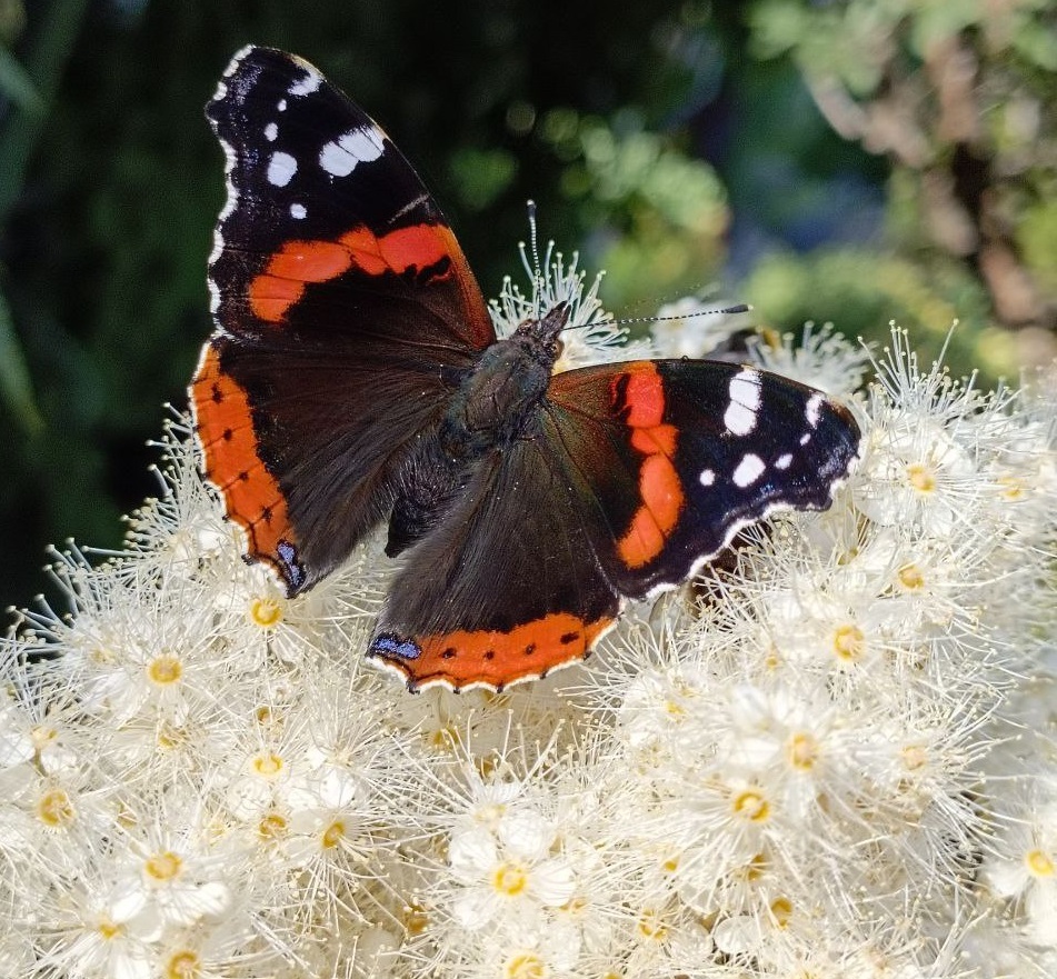 Чем заняться 2 августа на Урале, если вы не десантник 2 Чем заняться 2 августа на Урале, если вы не десантник 2