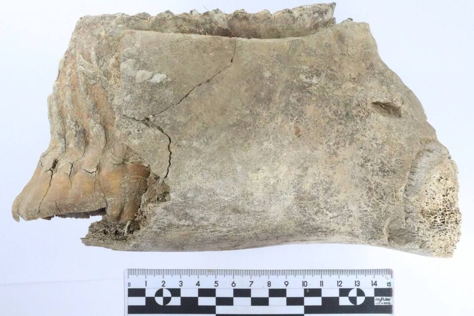 Фото: t.me/glebnikitin_nn Фото: t.me/glebnikitin_nn