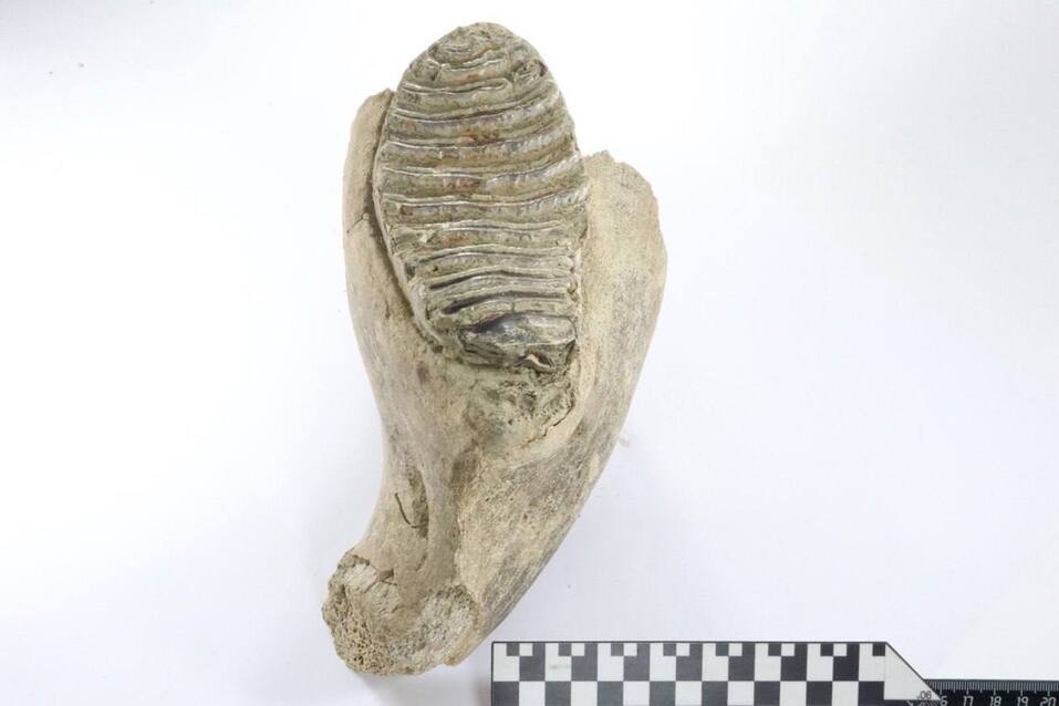 Фото: t.me/glebnikitin_nn Фото: t.me/glebnikitin_nn