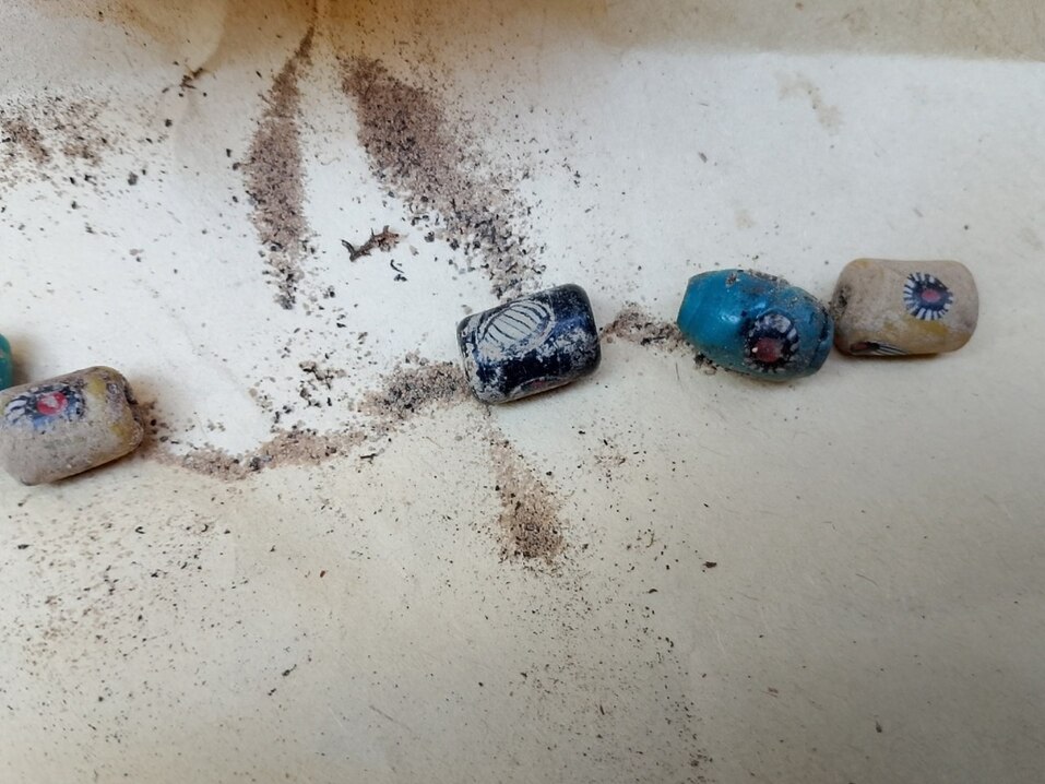 Фото: t.me/minlesnn Фото: t.me/minlesnn