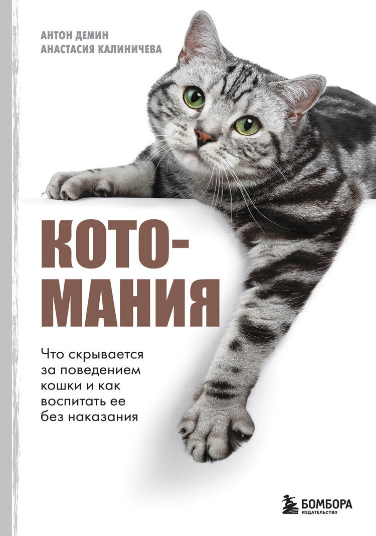 Книжная аптечка мурчащего счастья: подборка книг для котовладельцев Нижнего Новгорода 2 Книжная аптечка мурчащего счастья: подборка книг для котовладельцев Нижнего Новгорода 2