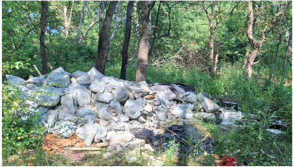 Фото: Росприроднадзор Фото: Росприроднадзор