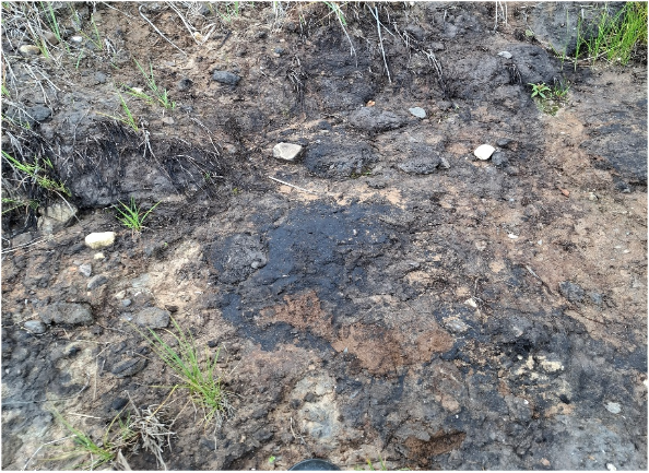 Фото: Росприроднадзор Фото: Росприроднадзор