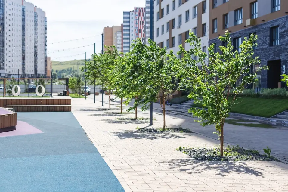 ЖК на правом берегу Красноярска стал лучшим в крае по благоустройству и озеленению 2 ЖК на правом берегу Красноярска стал лучшим в крае по благоустройству и озеленению 2