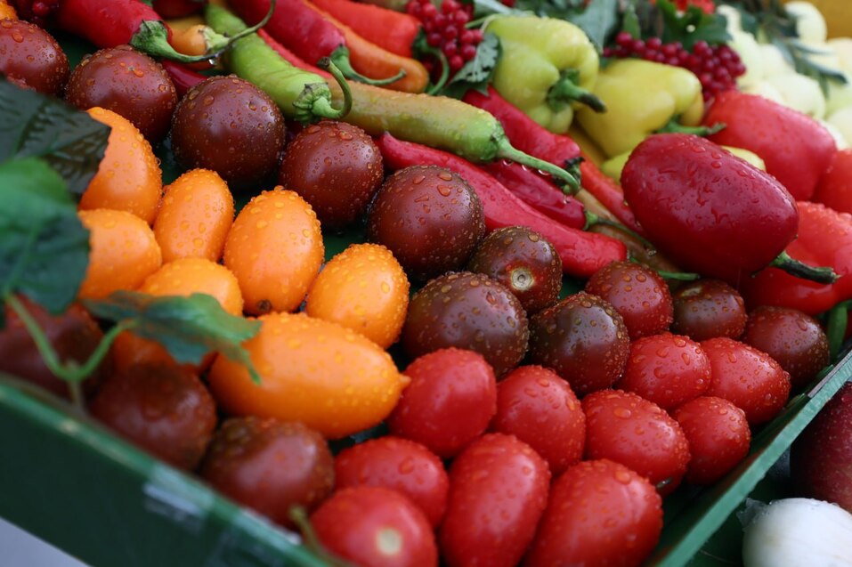 Сельскохозяйственная выставка «АГРО-2025» открылась в Челябинске 3 Сельскохозяйственная выставка «АГРО-2025» открылась в Челябинске 3