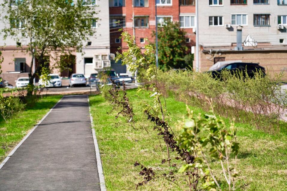 Фото: администрация Нижнего Новгорода Фото: администрация Нижнего Новгорода
