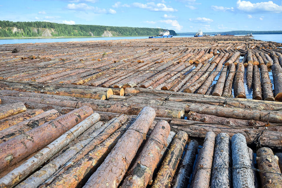 В Дудинку отправили караван леса для металлургов 1 В Дудинку отправили караван леса для металлургов 1