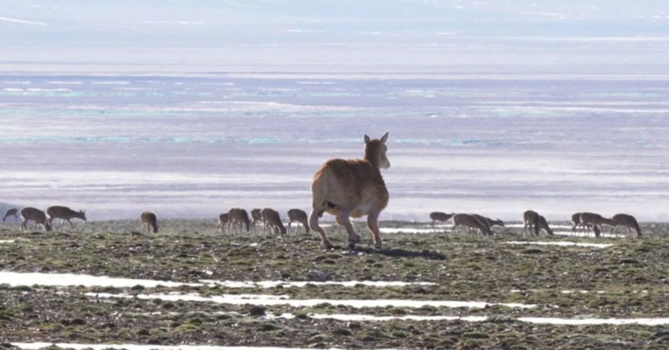 IT-дайджест: Сэм Альтман против Илона Маска, беспилотные грузовики и кикшеринг по смс 1 IT-дайджест: Сэм Альтман против Илона Маска, беспилотные грузовики и кикшеринг по смс 1