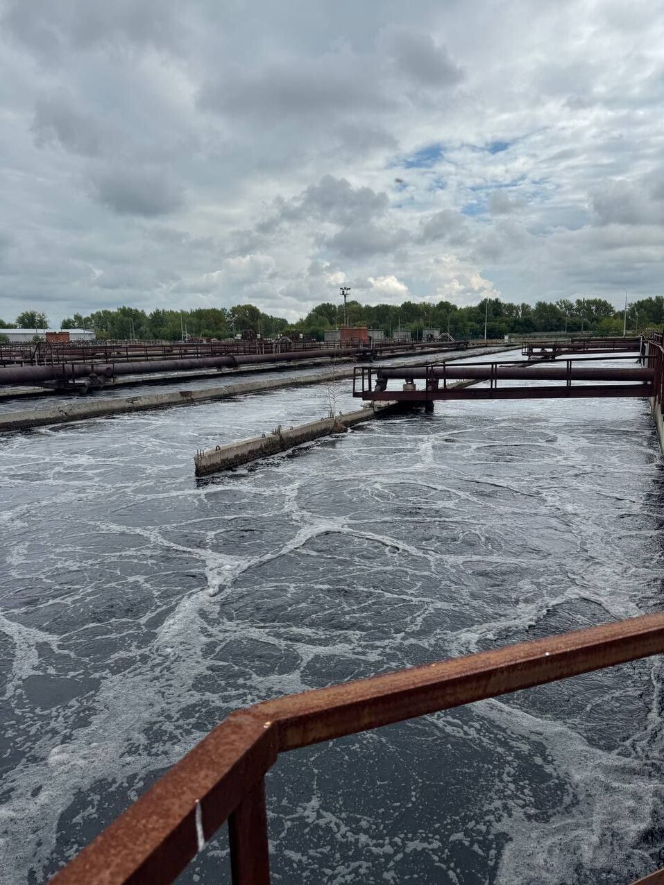 Фото: Росприроднадзор Фото: Росприроднадзор