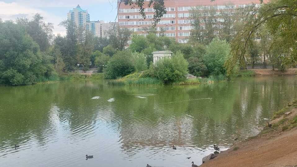 В Екатеринбурге собираются создать свой Гайд-парк или Зарядье 1 В Екатеринбурге собираются создать свой Гайд-парк или Зарядье 1