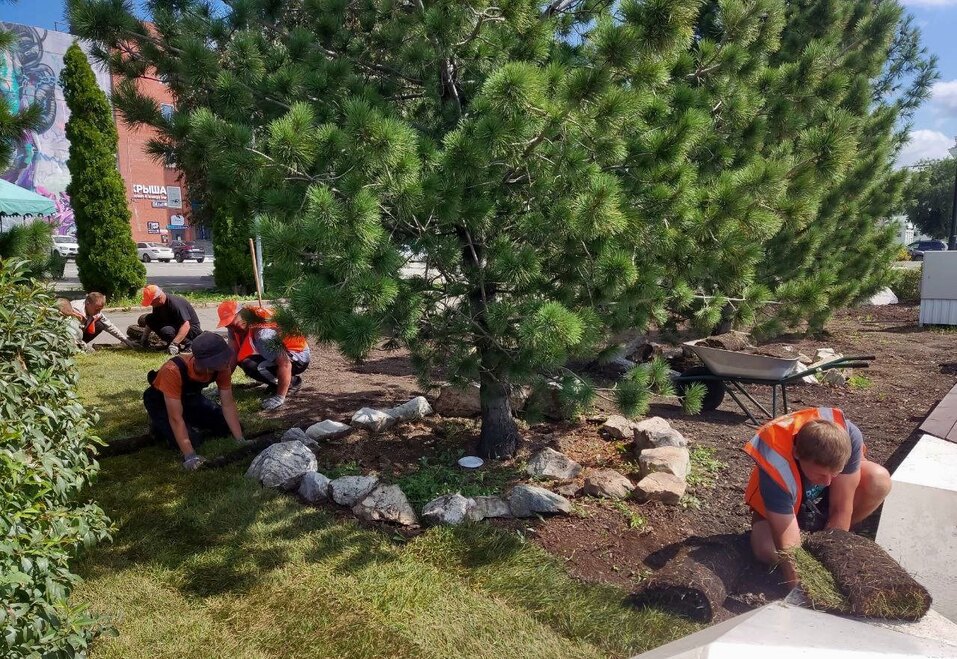 Сменит ли Челябинск серые заборы на живые изгороди? 2 Сменит ли Челябинск серые заборы на живые изгороди? 2