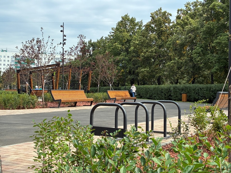 Сменит ли Челябинск серые заборы на живые изгороди? 3 Сменит ли Челябинск серые заборы на живые изгороди? 3