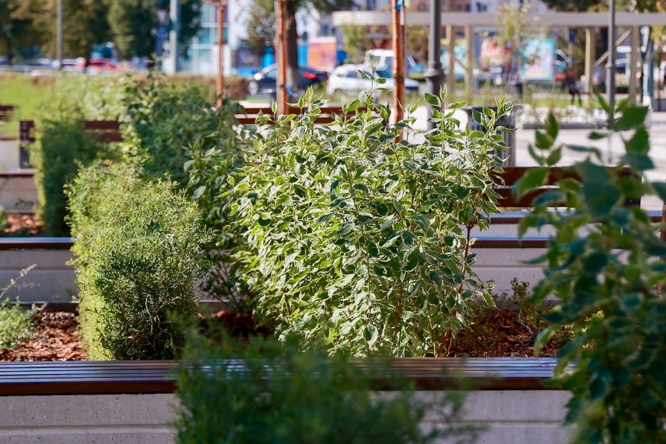 Фото: администрация Нижнего Новгорода Фото: администрация Нижнего Новгорода