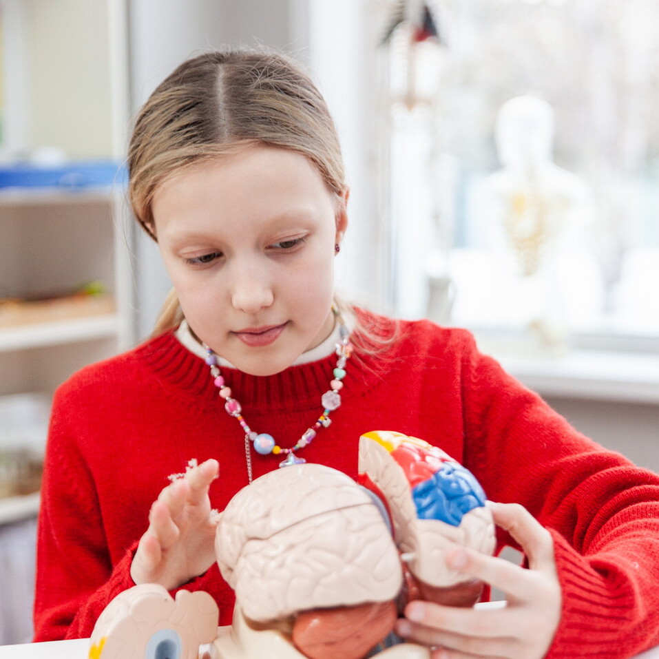 Как развить мышление будущего у детей 1 Как развить мышление будущего у детей 1