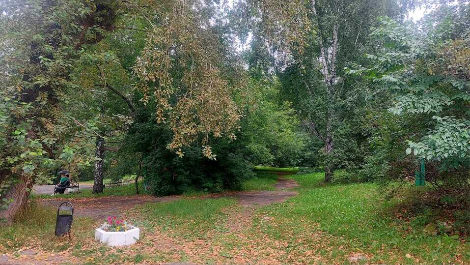 Харитоновский парк стал камнем преткновения между Екатеринбургом и Москвой 2 Харитоновский парк стал камнем преткновения между Екатеринбургом и Москвой 2