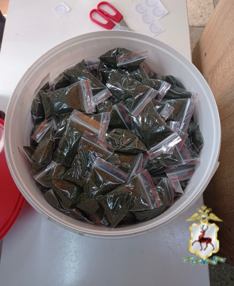 Фото: ГУ МВД по Нижегородской области Фото: ГУ МВД по Нижегородской области