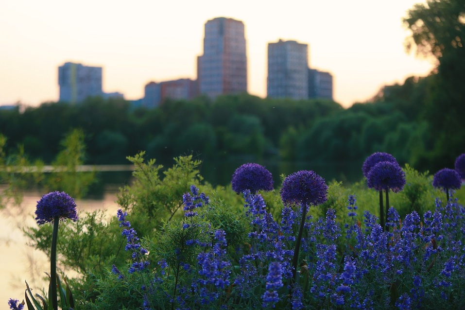 Перезагрузка городской среды: как свести интересы девелоперов, горожан и мэрии 14 Перезагрузка городской среды: как свести интересы девелоперов, горожан и мэрии 14