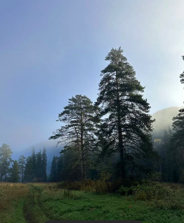 Иллюстрация: avito.ru Иллюстрация: avito.ru